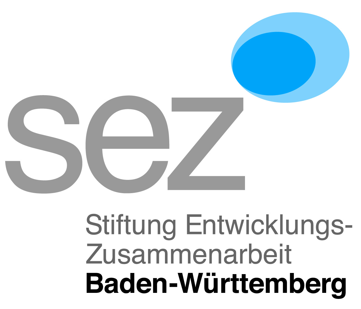 Logo SEZ